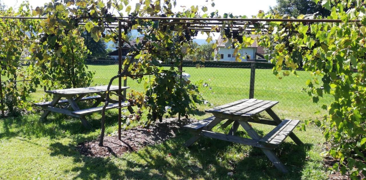 Seeidylle Winkler Bodensdorf Esterno foto